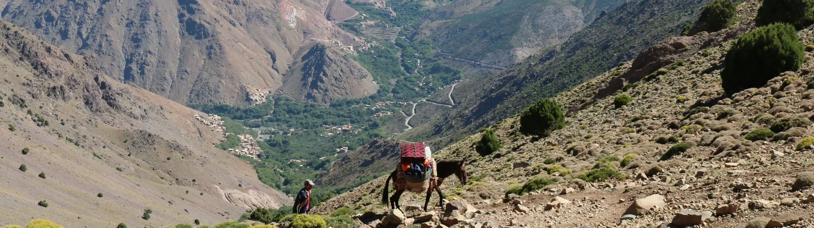 3 Peaks in 3 Days: Atlas Mountains Challenge