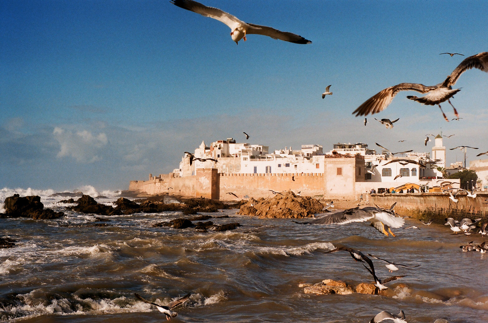 Trekking Berber Villages + One Day in Essaouira