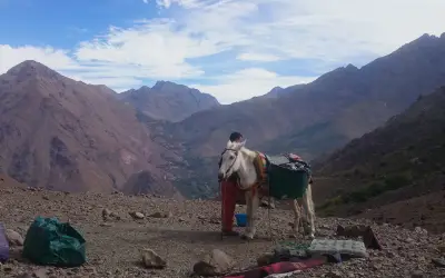 Private Guided 3 Day Trek From Marrakech To Atlas Mountains